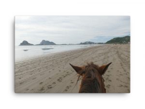 Horseback In Mazatlán